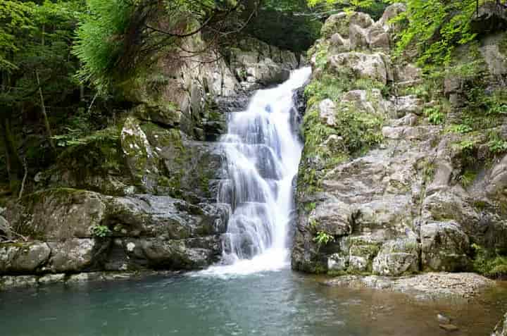 ����̑�E��O���� 